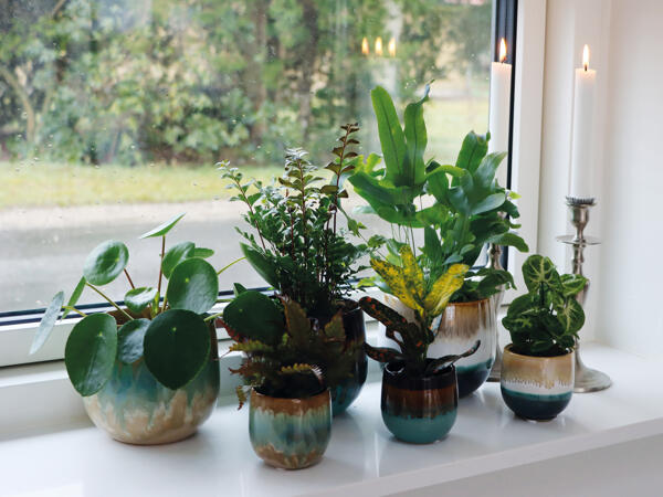 Grøn mini plante i keramik