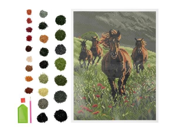 Crelando Diamond Painting Set - Horses