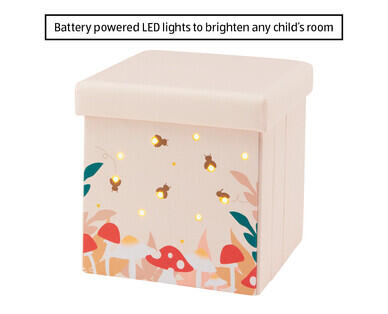 LED Light Up Box
