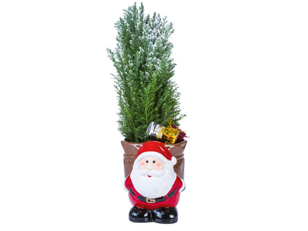 Weihnachtsmann mit Konifere und Dekoration