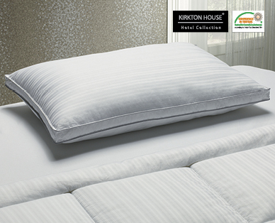 DELUXE PILLOW WITH A TOUCH OF SILK