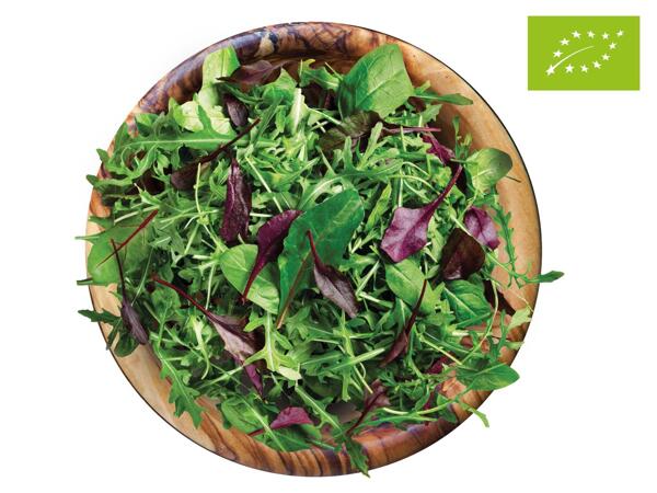 Bio Salate