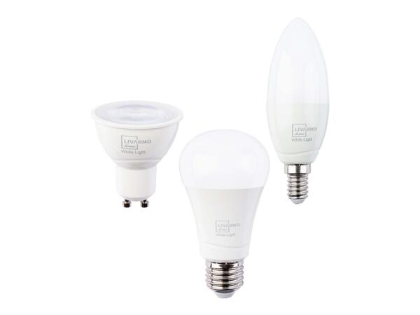 Smart LED Light Bulb