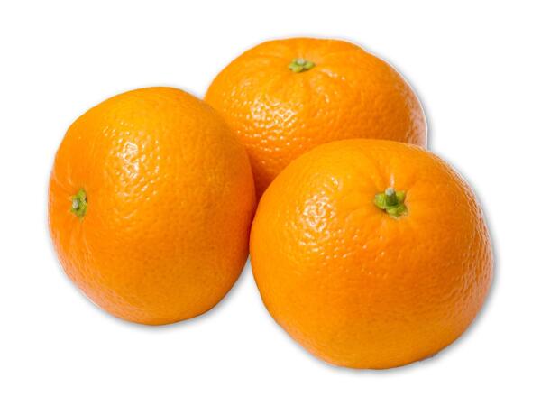 Klementiner