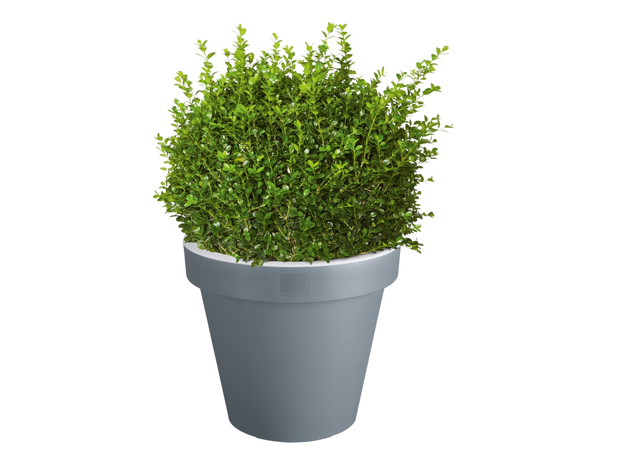 FLORABEST(R) Plantekrukke