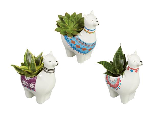 Grøn plante i keramik "Alpaka"