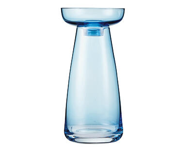 Glass Bulb Vase