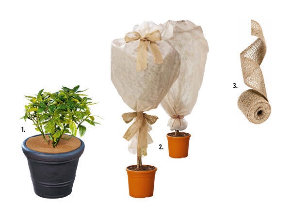Protection pour plantes