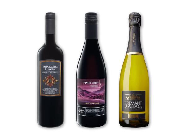 ALLINI/WINEMAKER Valpolicella Classico Ripasso, Pinot Noir eller Crémant d‘Alsace Brut AOP