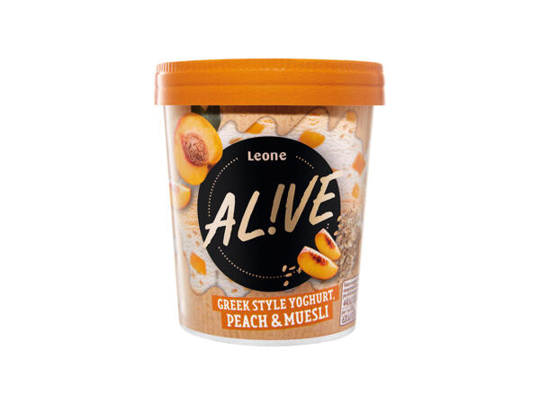 PROTEINOVÁ ZMRZLINA