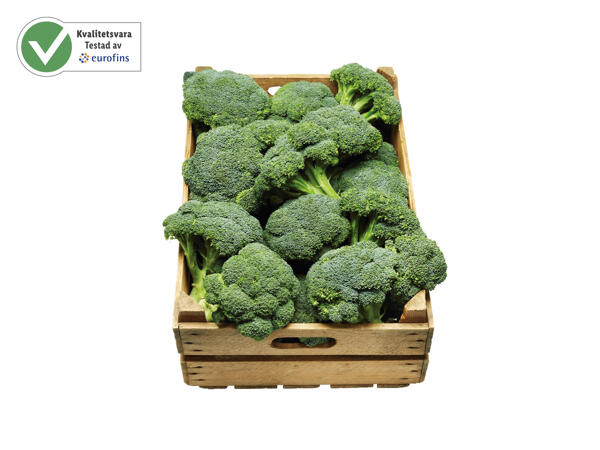 Broccoli