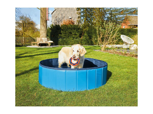 Zoofari Dog Pool