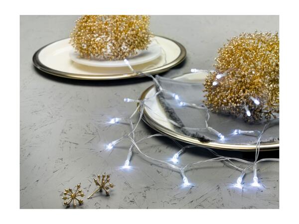 Livarno Home 20 LED String Lights