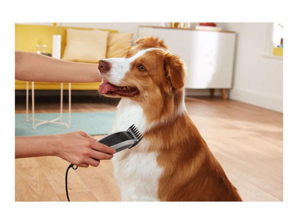 Zoofari Pet Hair Clippers