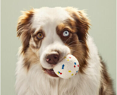 Heavy Duty Dog Toy