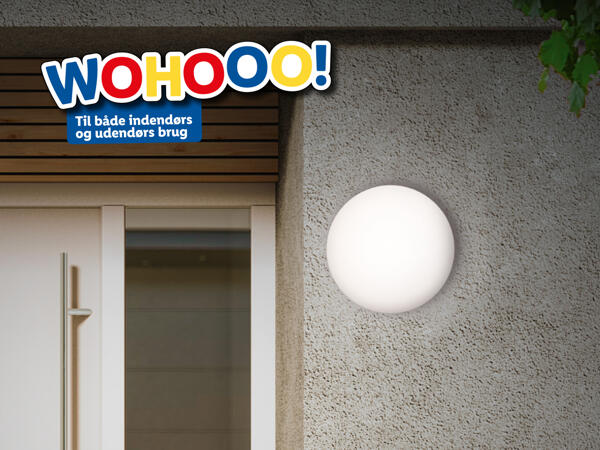 LIVARNO HOME(R) LED-loftslampe med bevægelsessensor