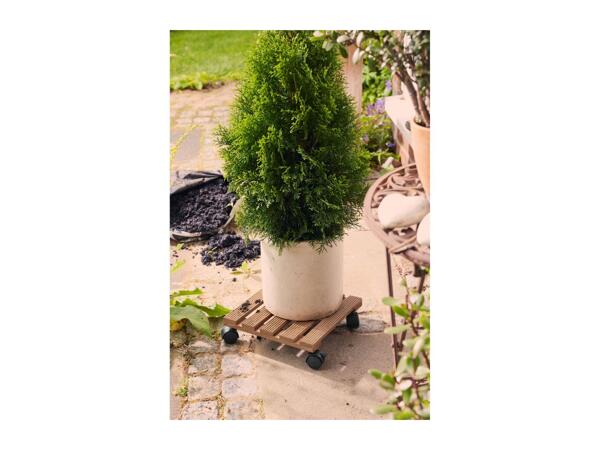 Parkside Plant Roller