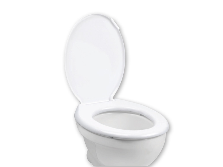 Toilet Seat