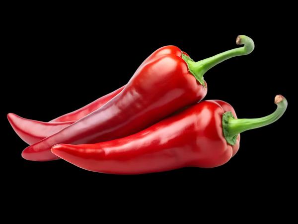 Poivrons rouges pointus doux XXL