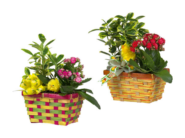 Cestino di Pasqua