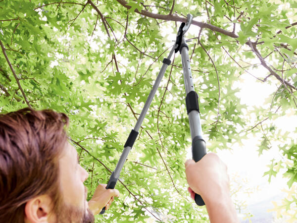 Extendable Pruning Lopper