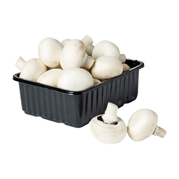 Champignon