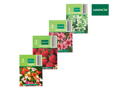 ASSORTED PACKET BULBS