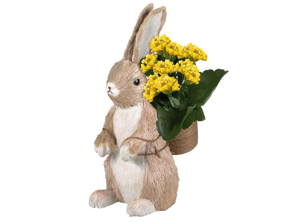 Osterhase mit Kalanchoe bepflanzt