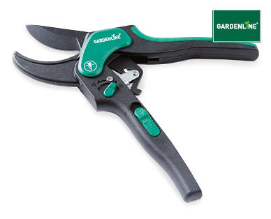 Dual Action Secateur and Sharpener