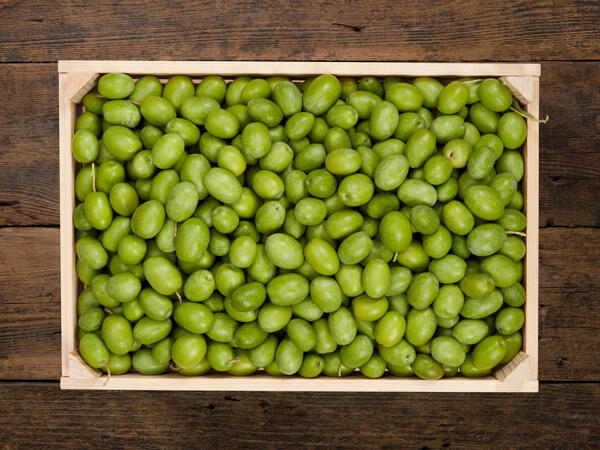 Olives fraîches