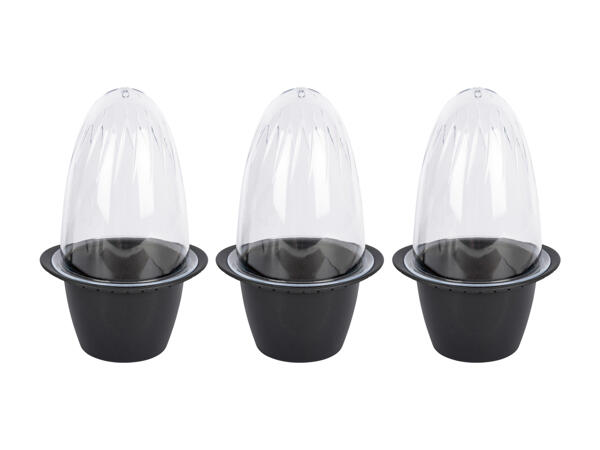 Mini Plant Growing Set
