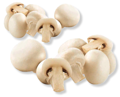 Champignons/Champignons grande