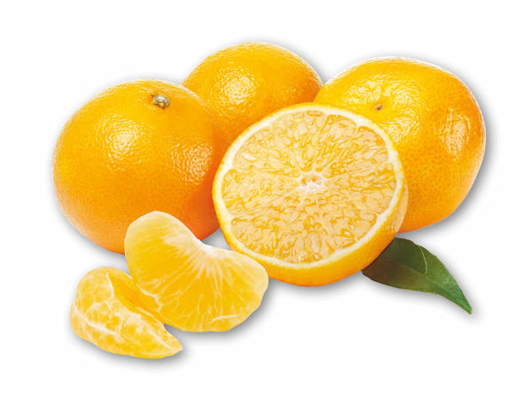 Mandariner