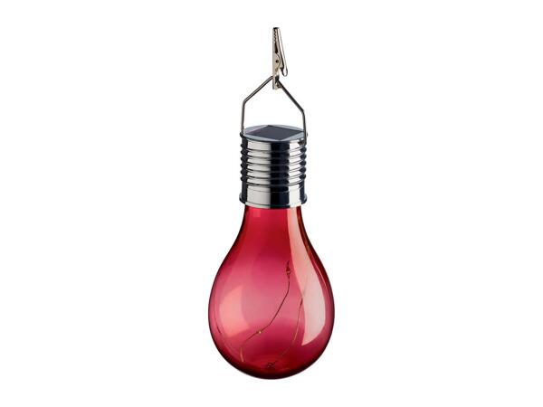 Livarno Home Decorative Solar Light
