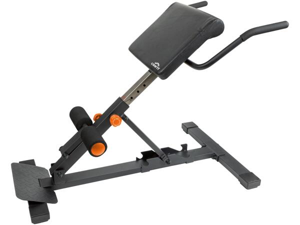Multi Trainer