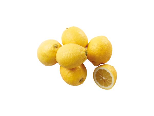Lemons XXL