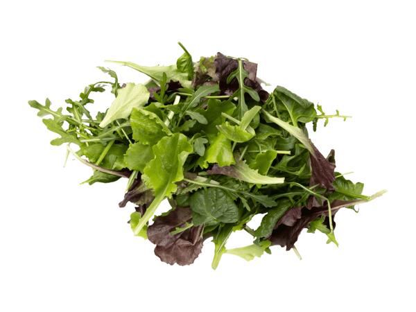 Bio Salate