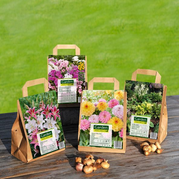 Blomsterløg