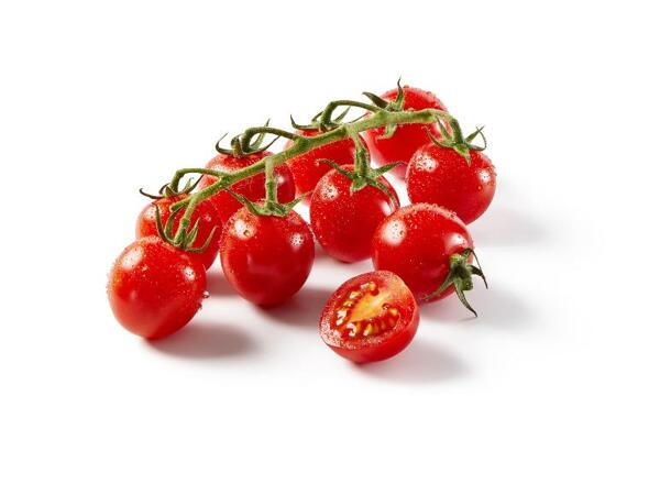 Cherry Tomatoes XXL