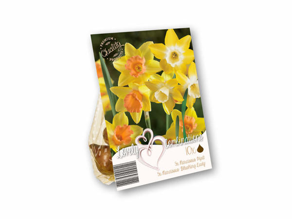 Blomsterløg