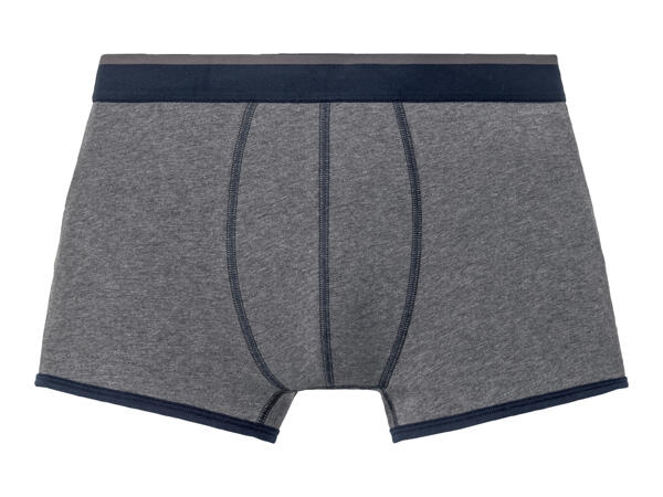 Men's Boxer