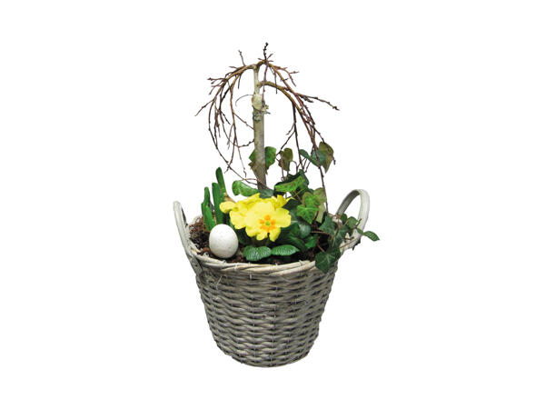 Stor påskesammenplantning