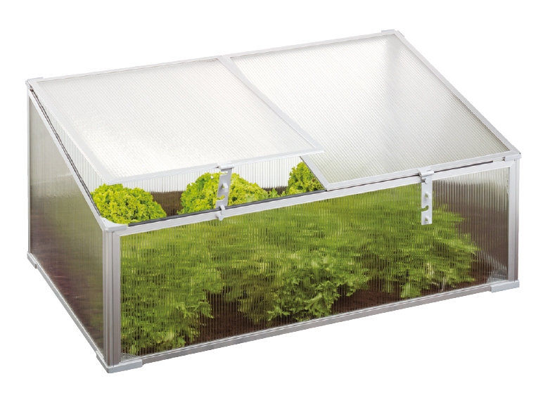 Serre de jardin