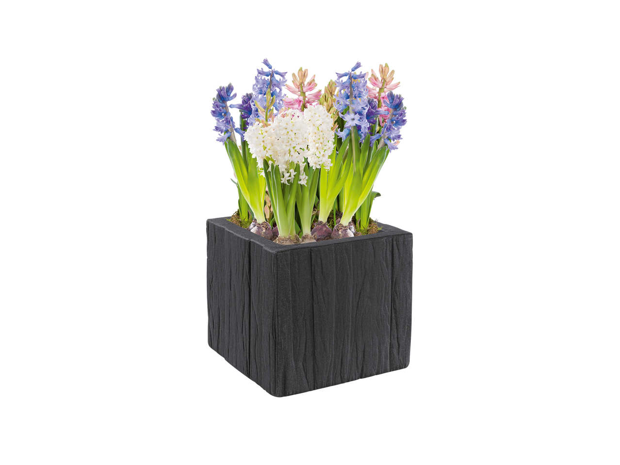 FLORABEST(R) Blomsterkrukke