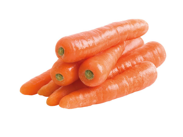 CARROTS For Reindeers