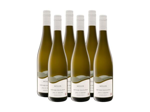Grüner Veltliner Löss & Schotter