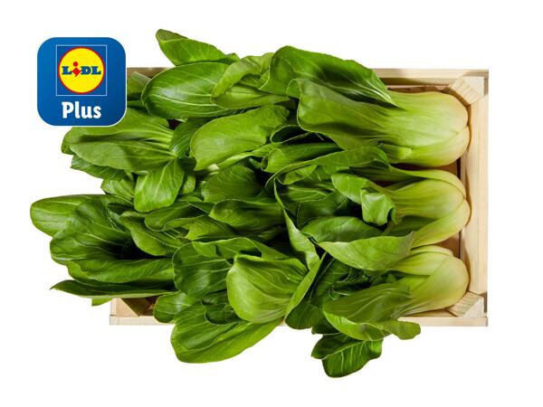 Pak Choi