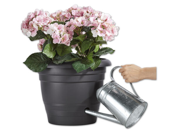 Blumentopf