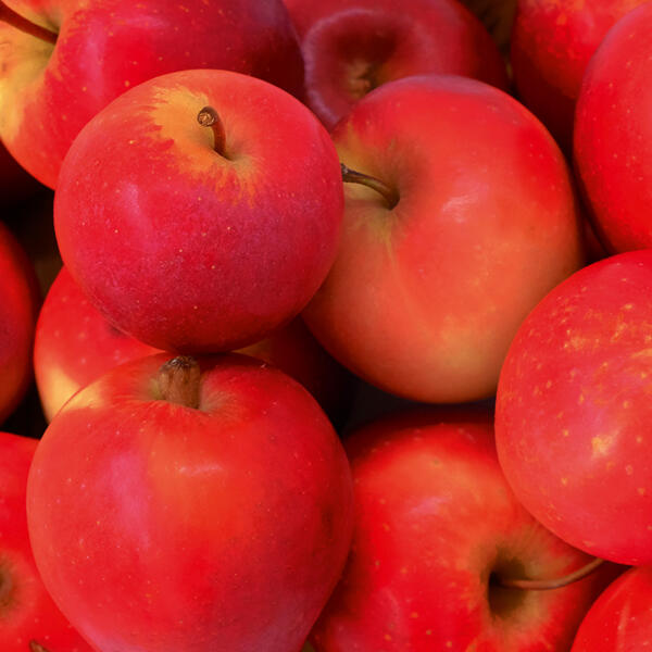 Rote Äpfel