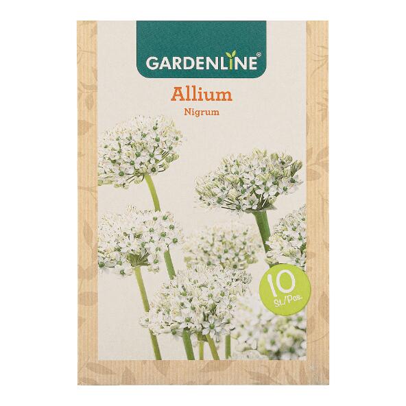 GARDENLINE(R) 				Bulbes à fleurs ail d'ornement